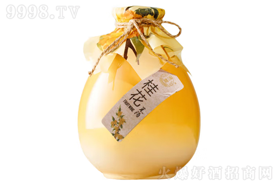 6����һ�ҹ��׾�500ml�r�񣬶����X��