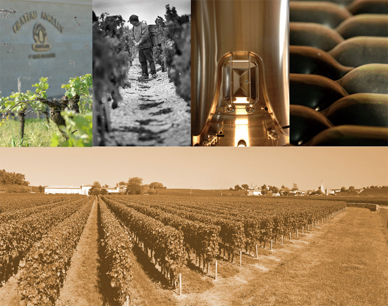 �����W�Ȱ��Q(m��o)�����޹�˾