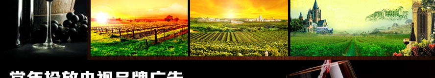 �V�ݵ������ƘI(y��)���޹�˾