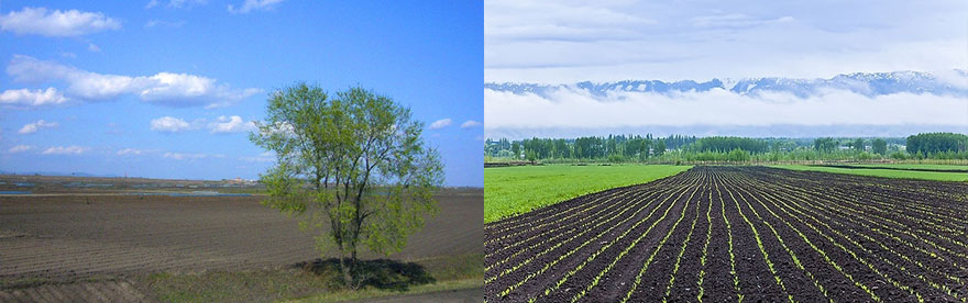 �|����ɫ�DƬ