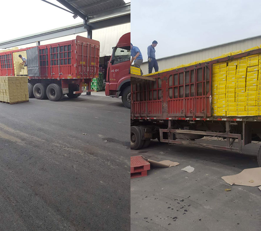 Ӣ��(gu��)�W����ơ�Ƽ��F(tu��n)���޹�˾