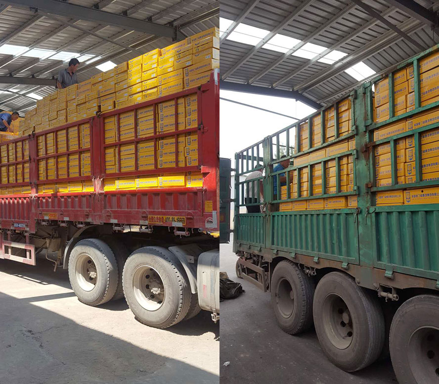 Ӣ��(gu��)�W����ơ�Ƽ��F(tu��n)���޹�˾