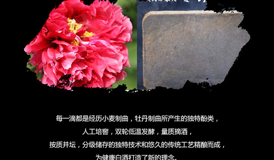 ��Ⱥ��ʮ����Ф��