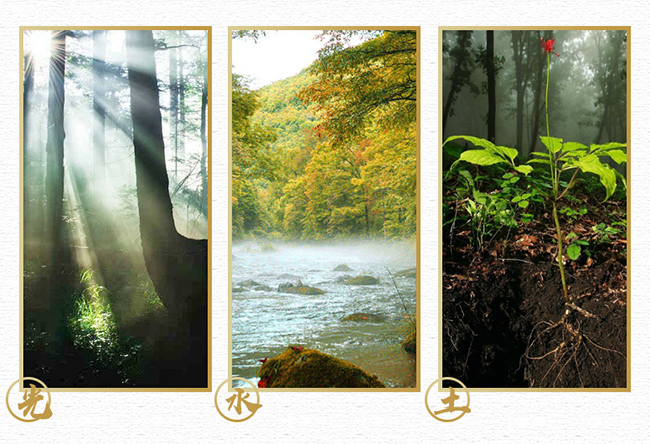 �˅��ƶY�С�52��500ml��2��