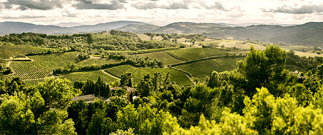 �{(l��n)�ơ����x�ɼt���Ѿ�