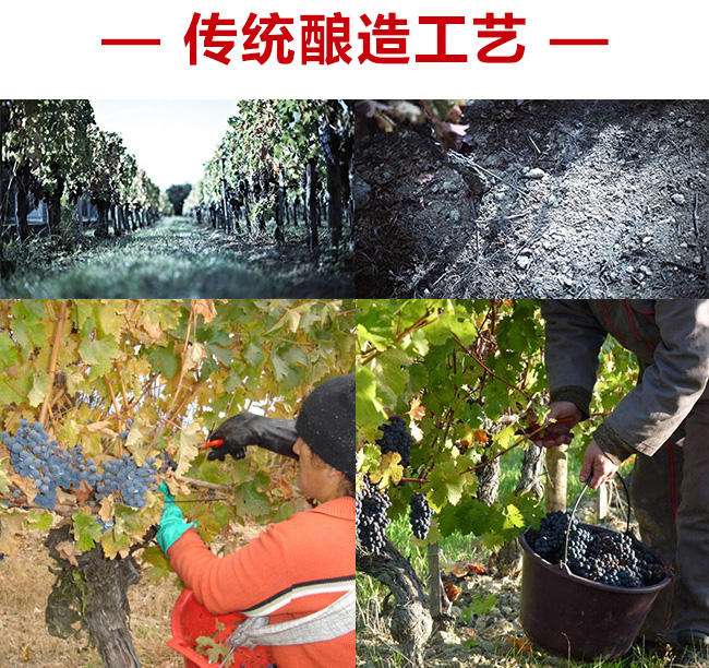 �{(l��n)�ơ����x�ɼt���Ѿ�