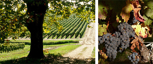 �{(l��n)�ơ����x�ɼt���Ѿ�