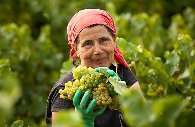 ��������ɼt���Ѿ�