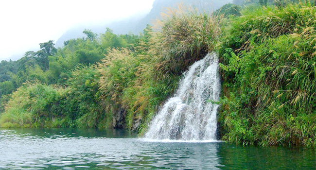 �w����w��