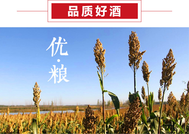 �w����w��