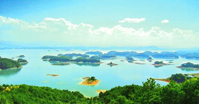 �w����w��