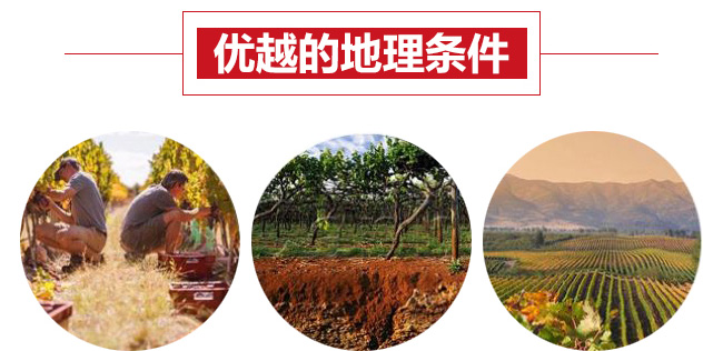 �P�r��15�ȸɼt���Ѿ�