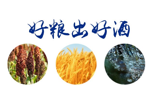 �ſ���ʥ��T15