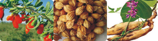 ���35��128ml