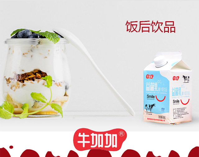 牛加加益菌乳酸牛奶(屋頂包酸奶飲品)
