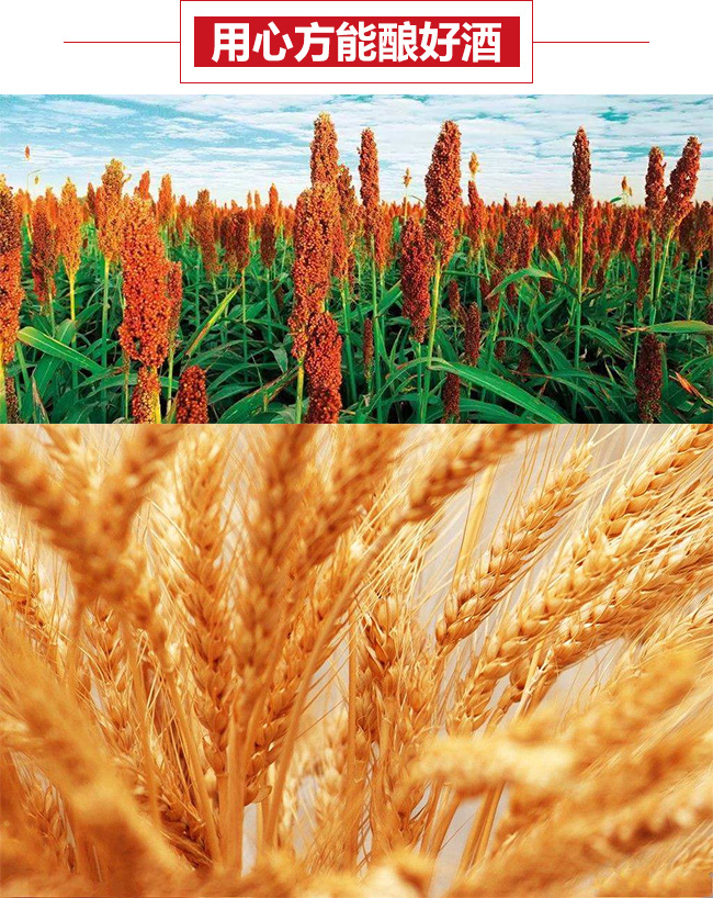 ���S����^������