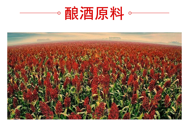 κ���Ѿ�G3������500mL42��~50��