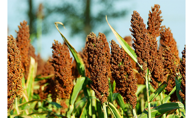 κ���Ѿ�G6������500mL42��~50��