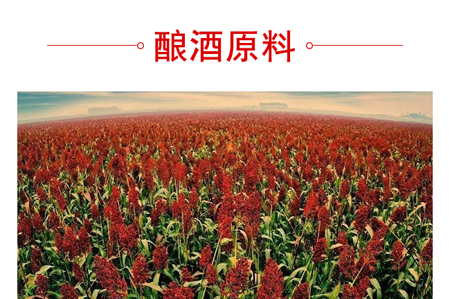 κ���Ѿ�G6������500mL42��~50��