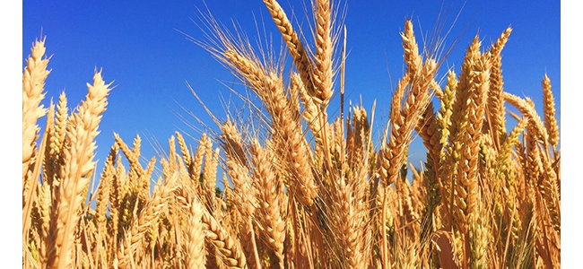 κ���Ѿ�G6������500mL42��~50��