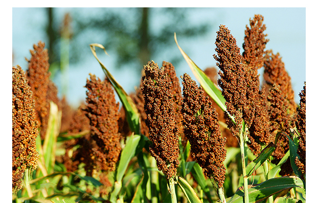 κ���Ѿ�G9������500mL42��~50��