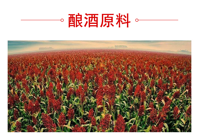 κ���Ѿ�G9������500mL42��~50��