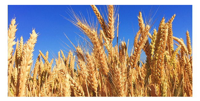 κ���Ѿ�G9������500mL42��~50��