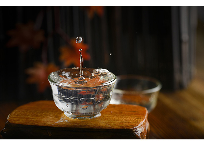 ţ��ɽ�f�׾�42��500ml�����Ͱ׾�