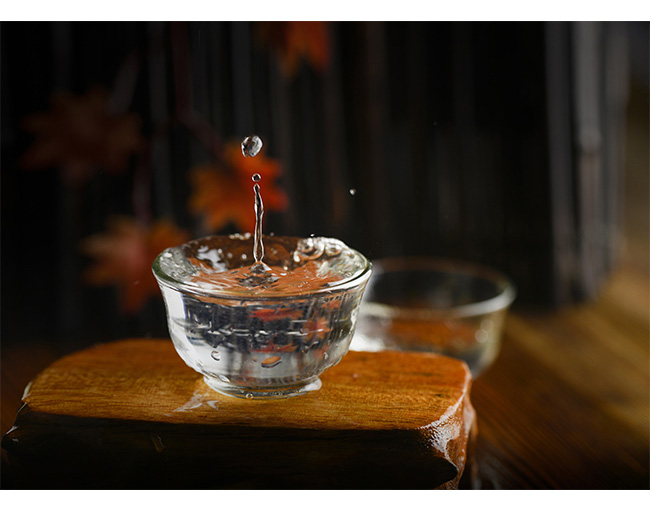 �x�ڐ���A10 42��500ml���Zʳ�����Ͱ׾�