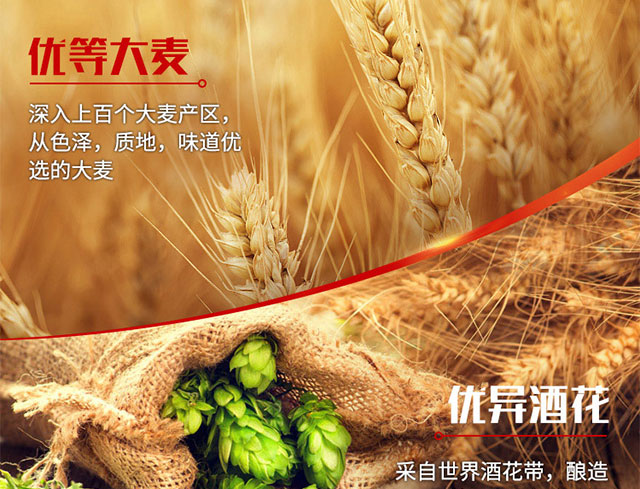 ���W����ơ�ƣ��G��320mlx24