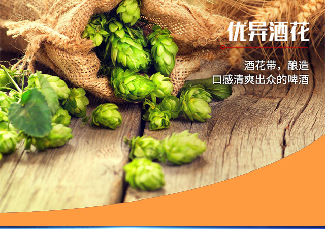 �����Ҽ���ơ��ƿ�b