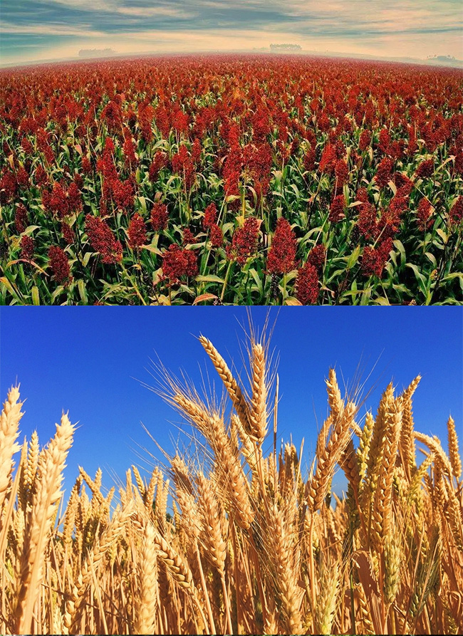 ��ؕ���B(t��i)ԭ�{��V9