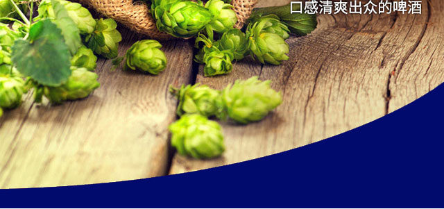 青城特制啤酒320mlx24