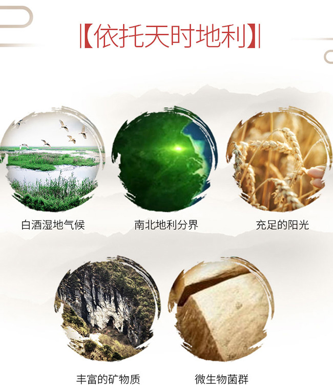 �����ݾ�����20