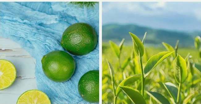 ��������������衾500ml��