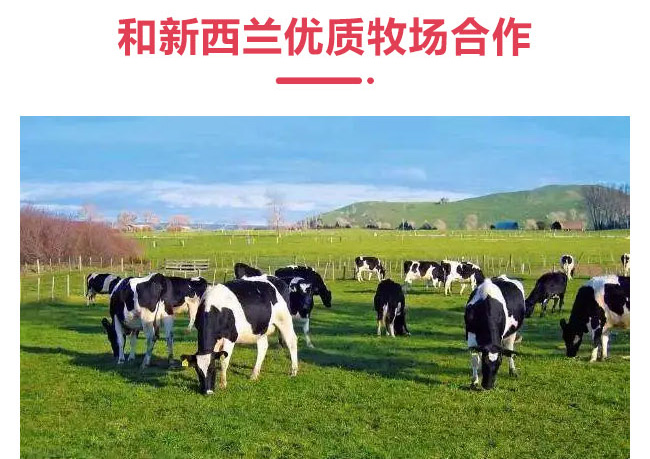 初飲草莓味酸奶飲品【300g】