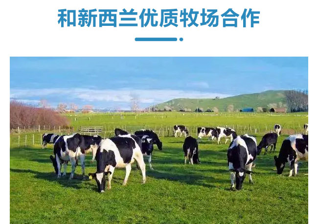 初飲原味發(fā)酵酸奶飲品【300g】