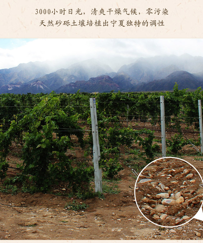 類人首鉆石蛇龍珠干紅葡萄酒