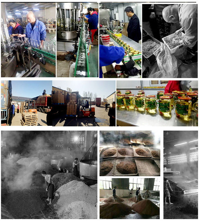 白山貢長(zhǎng)白山人參酒紅標(biāo)42°52°500ml