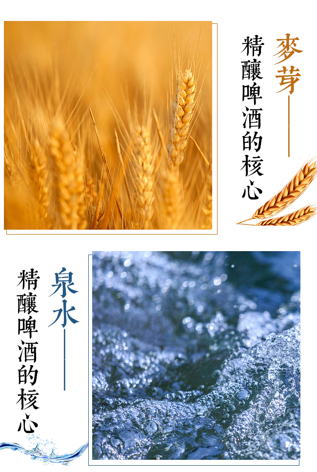 ���˾��ơ��(������)