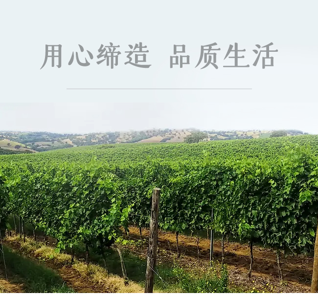 �������P¡�M(j��n)�����Q(m��o)�����޹�˾