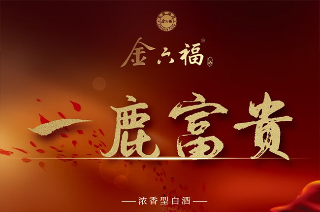 ��������һ¹���F�����͡�50.8��500ml��