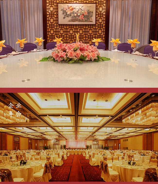 �h������ֹ���15 �u���Ͱ׾ơ�53�� 500ml��