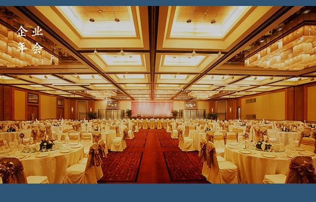 �h������ֹ���30 �u���Ͱ׾ơ�53�� 500ml��