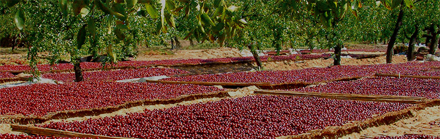 ɽ�|�R��(gu��)ʢ���ƘI(y��)������޹�˾