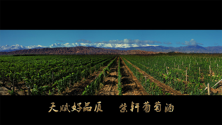 ���C��܎�ƘI(y��)���޹�˾