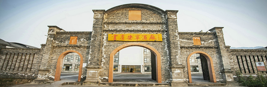 ���e�����ƏS