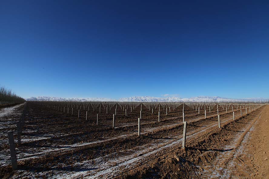 �������m���f���޹�˾