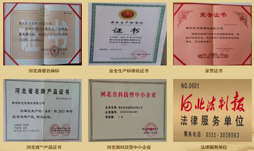 衡水衡大集團(tuán)臥龍泉酒業(yè)