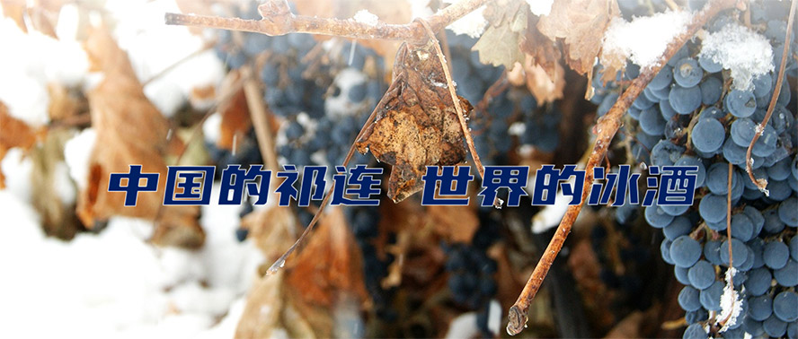     ���C���B���ѾƘI(y��)����؟�ι�˾���a(ch��n)Ʒ����������